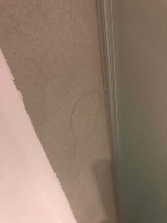 Zimmer Prinsotel La Dorada