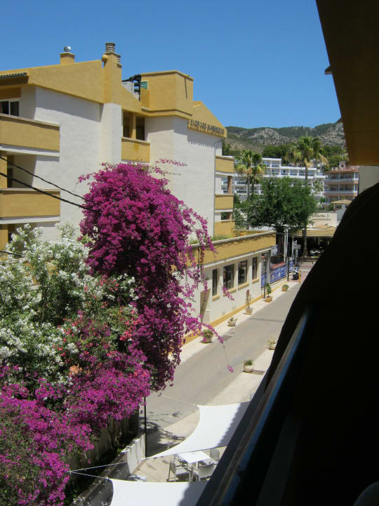 Blick Richtung Straße Hoteleingang FLOR los Almendros Hotel