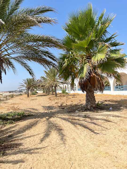 Strand Steigenberger Marhaba Thalasso Hammamet