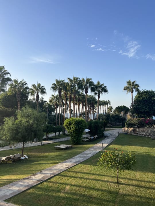 Gartenanlage Arum Barut Collection