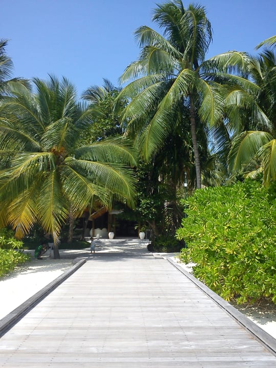 Willkommen auf Paradies!!! Kuramathi Maldives