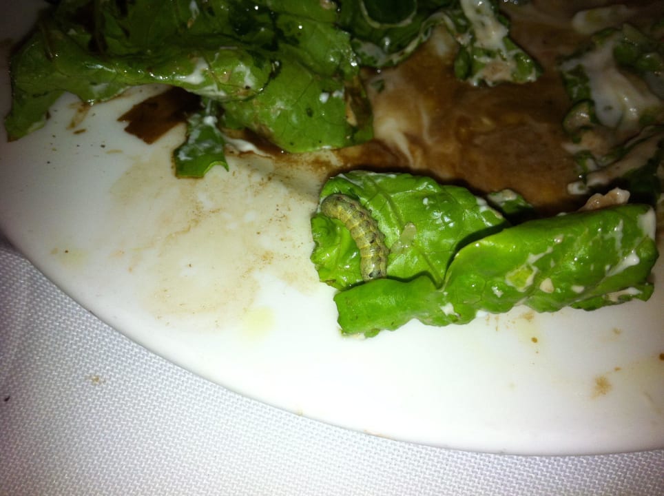 Raupe im Essen Atlantica Mikri Poli Kos