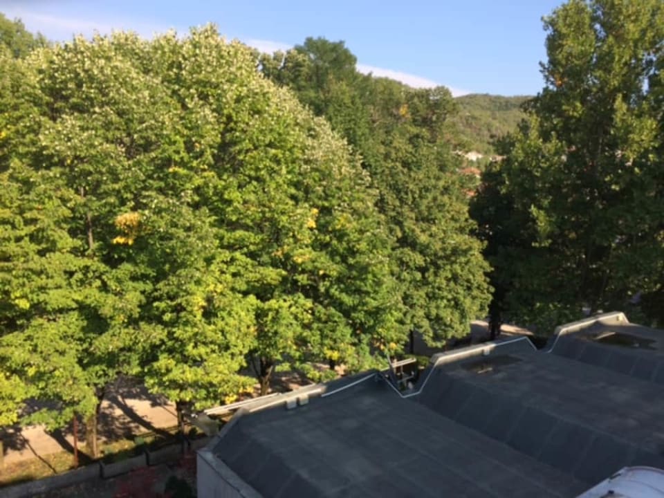 Park przy hotelu Hotel Grand Cetinje