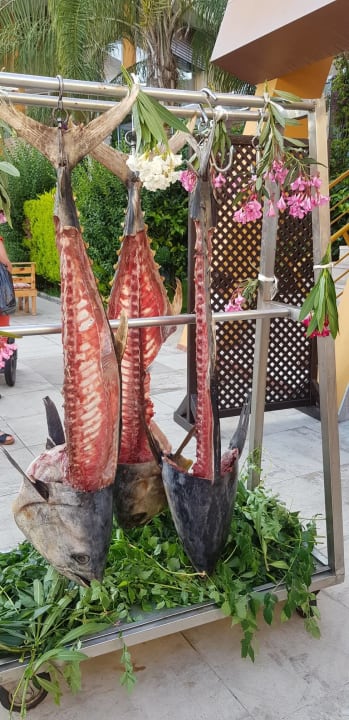 Gastro Alaiye Resort & Spa