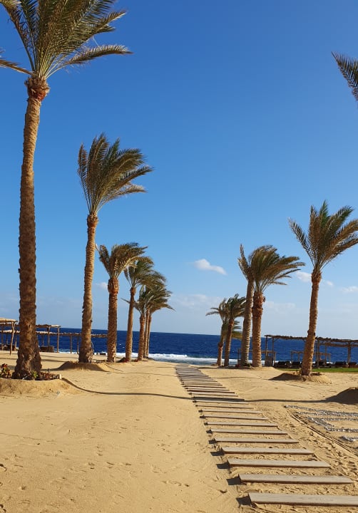 Strand Steigenberger Resort Alaya Marsa Alam - Red Sea - Adults only