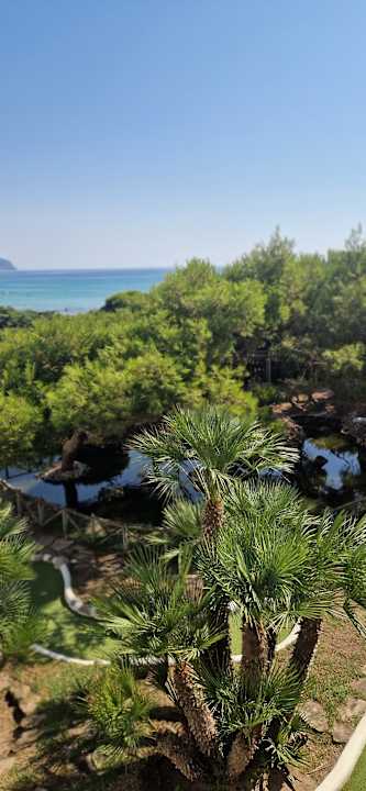 Ausblick Zafiro Bahia