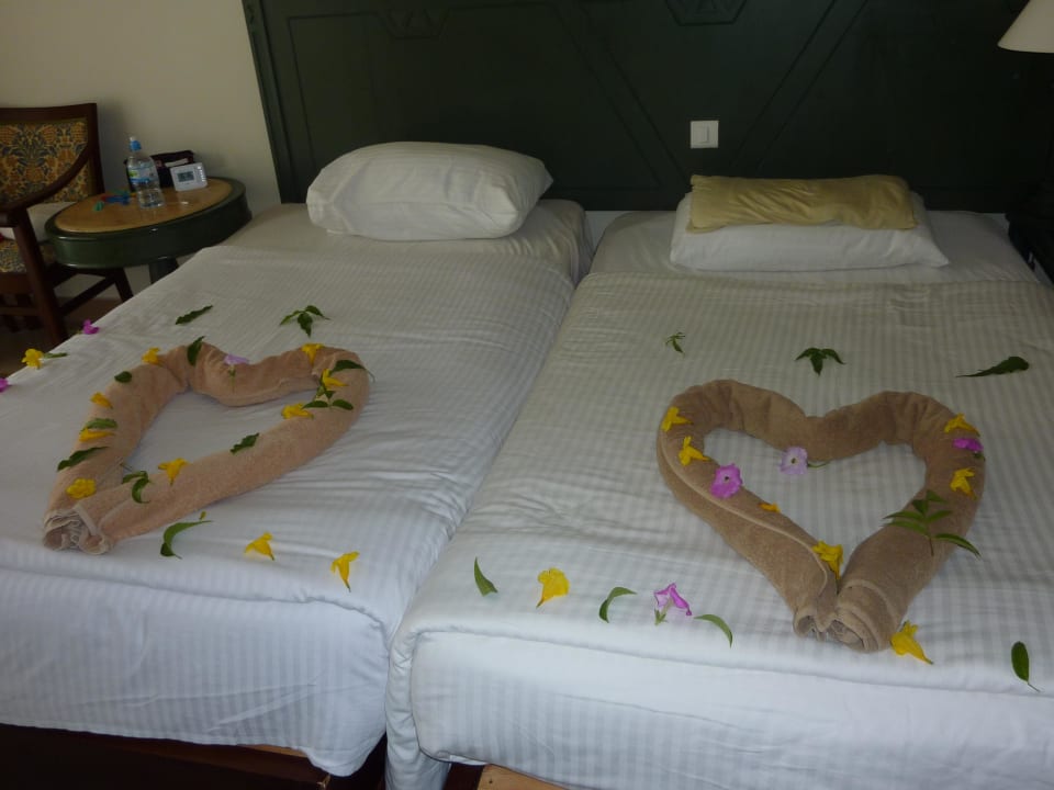 Kleine Aufmerksamkeit Pickalbatros Dana Beach Resort - Hurghada