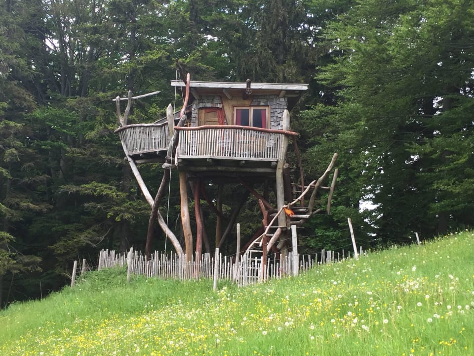 Erstaunlich Baumhaus Allgu Pfronten Ebenbild