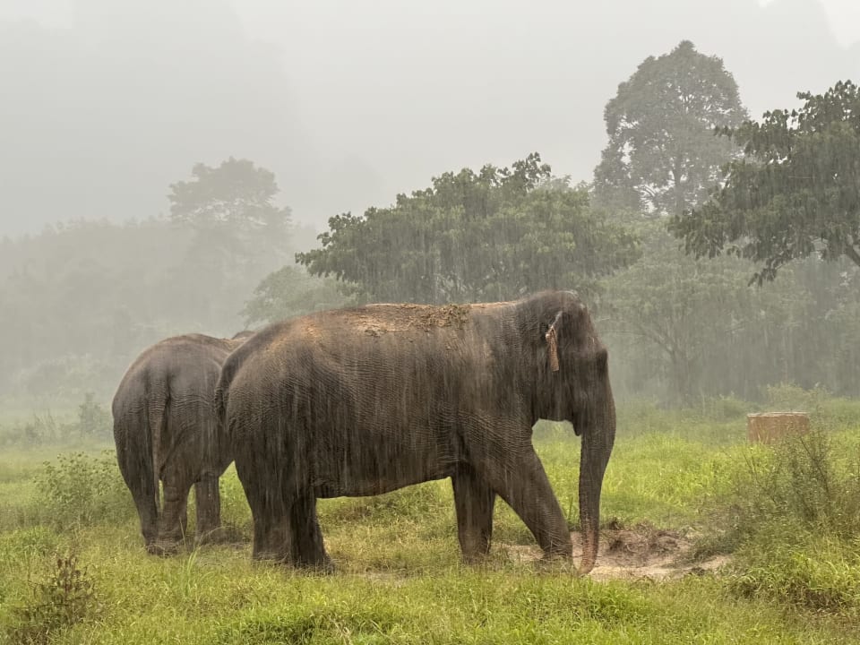Sonstiges Elephant Hills