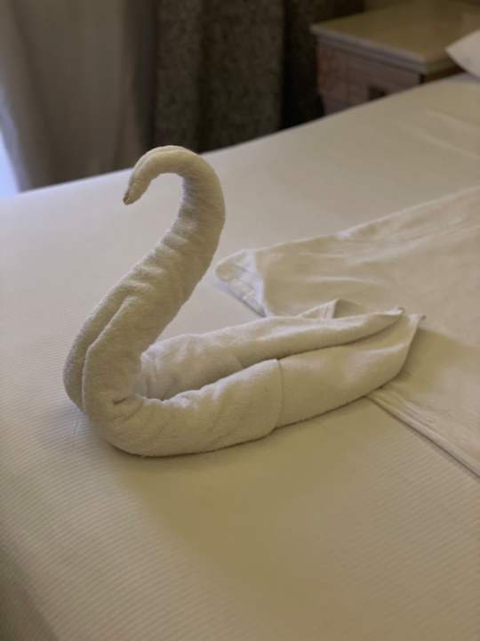 Zimmer Beach Albatros Resort