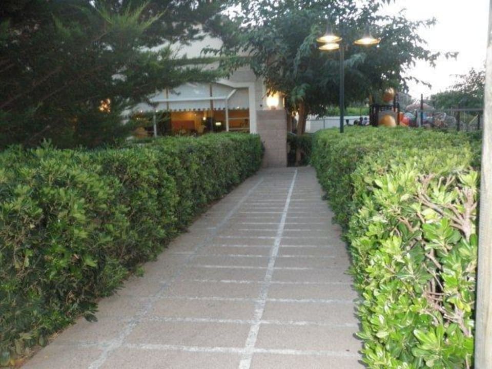 Weg zum Restaurant Zafiro Mallorca