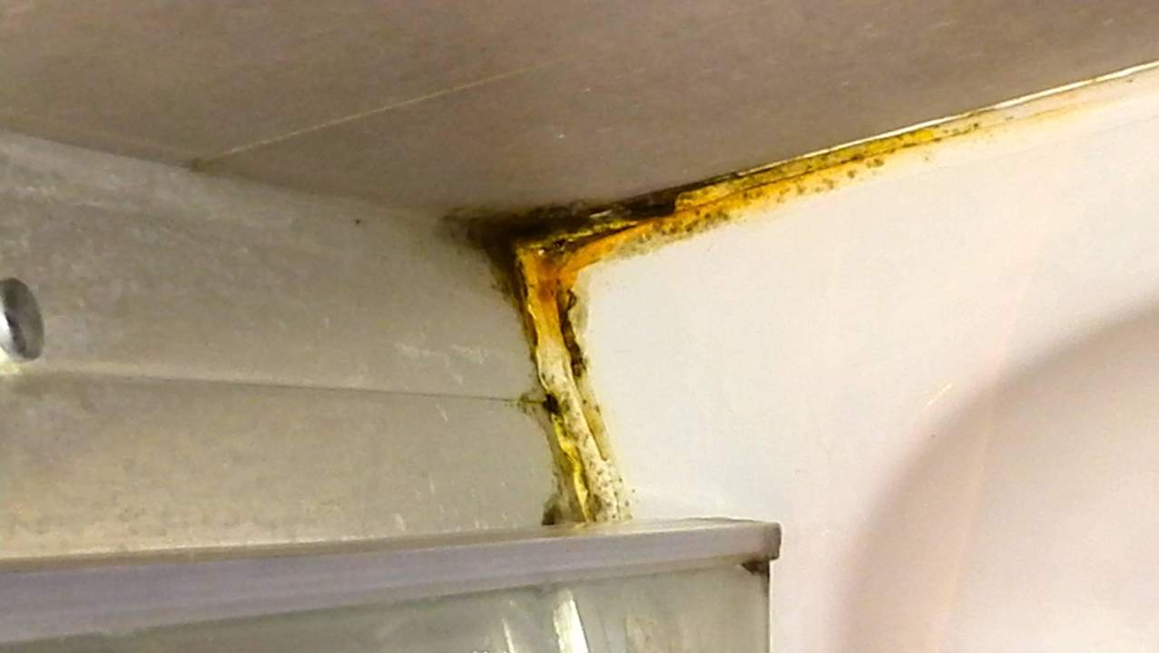Dusche mit Schimmel Valletta Merisi Suites