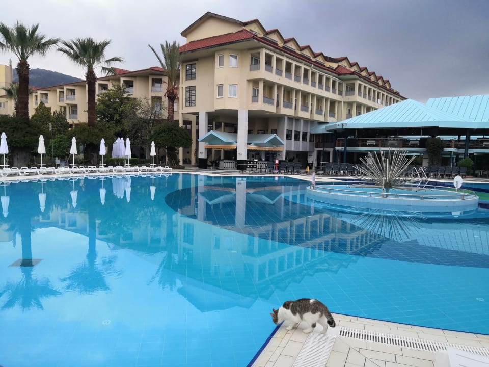 Pool Le Jardin Resort