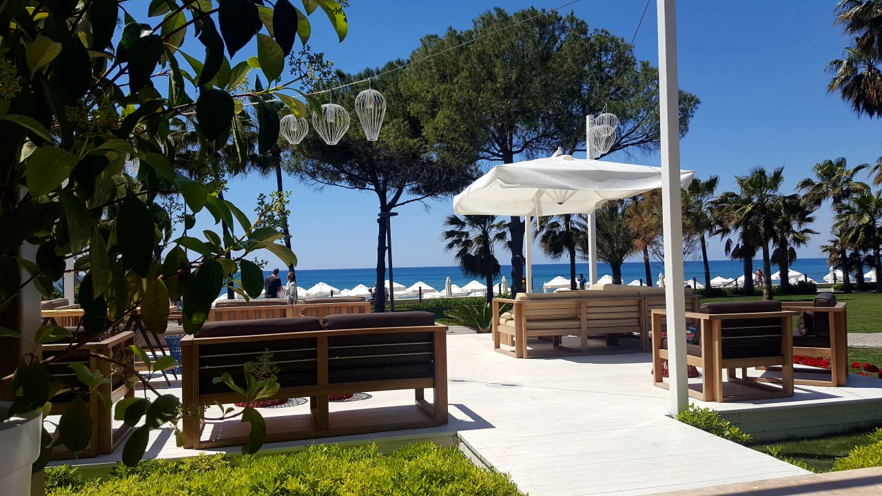 Gastro Acanthus Cennet Barut Collection