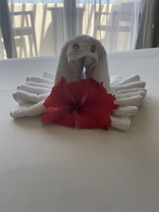 Zimmer Akumal Bay Beach & Wellness Resort