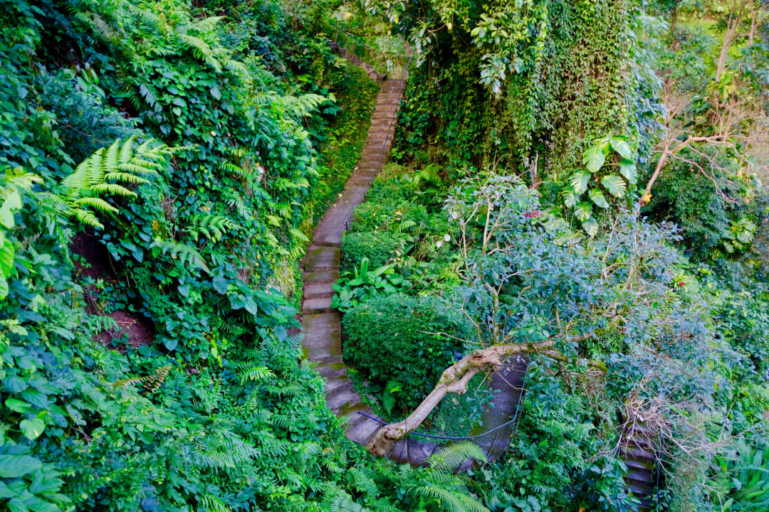 Gartenanlage Maya Ubud Resort & Spa Bali