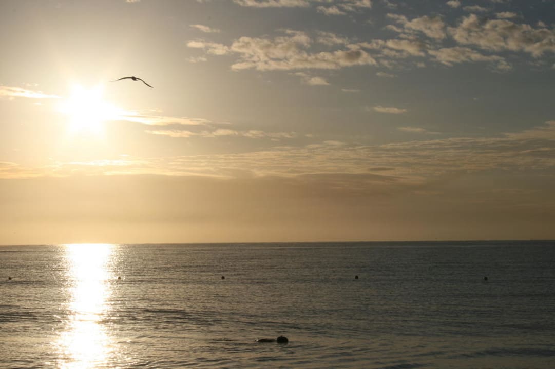 Sonnenaufgang Hotel Riu Tequila