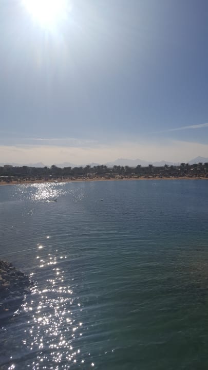 Ausblick Desert Rose