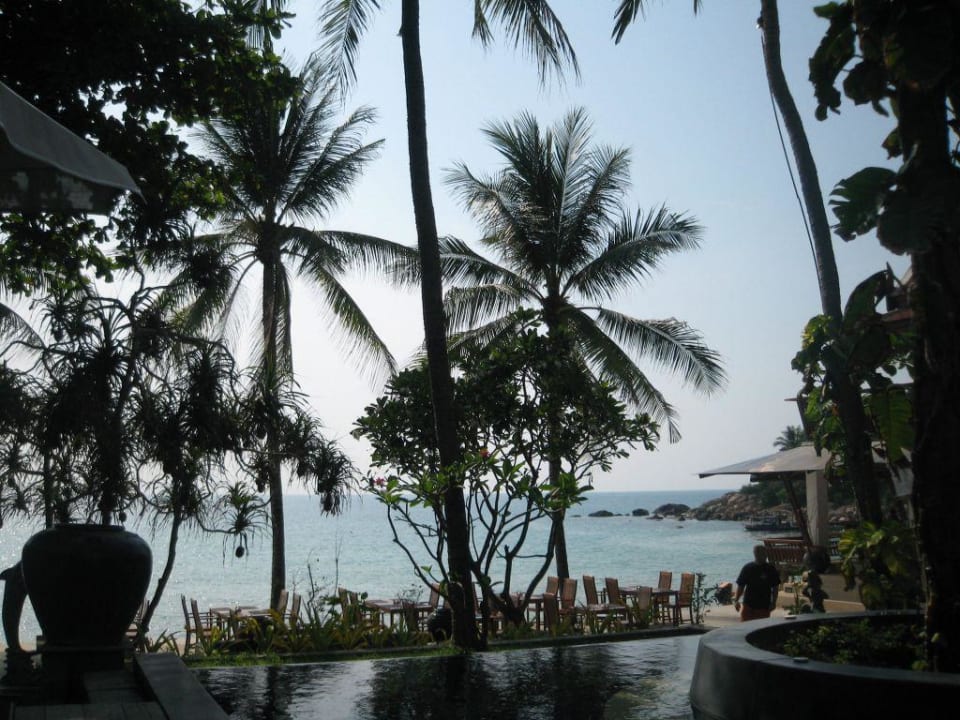 Pool, Blick zum Meer Samui Paradise Chaweng Beach Resort & Spa