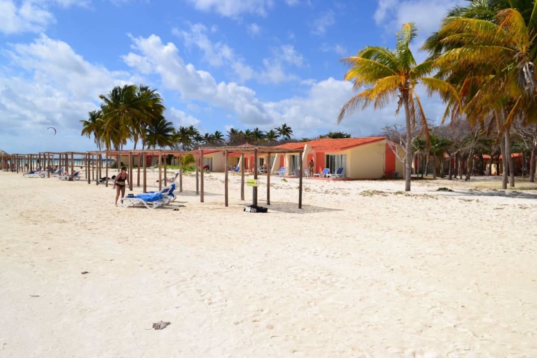 Duża, szeroka Starfish Cayo Guillermo