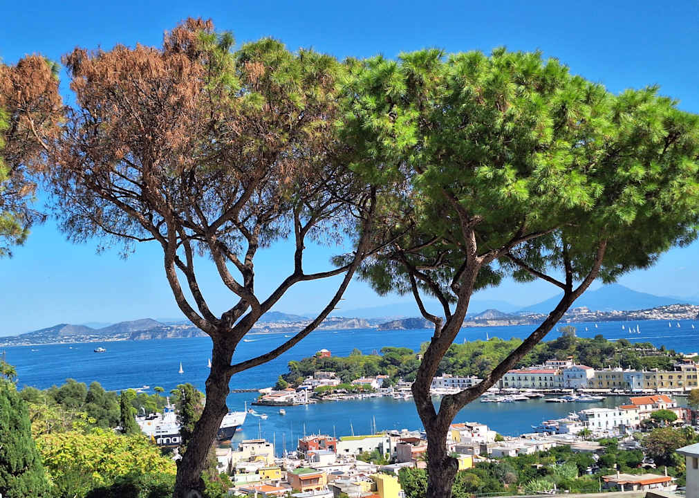 Ausblick Hotel Don Pedro