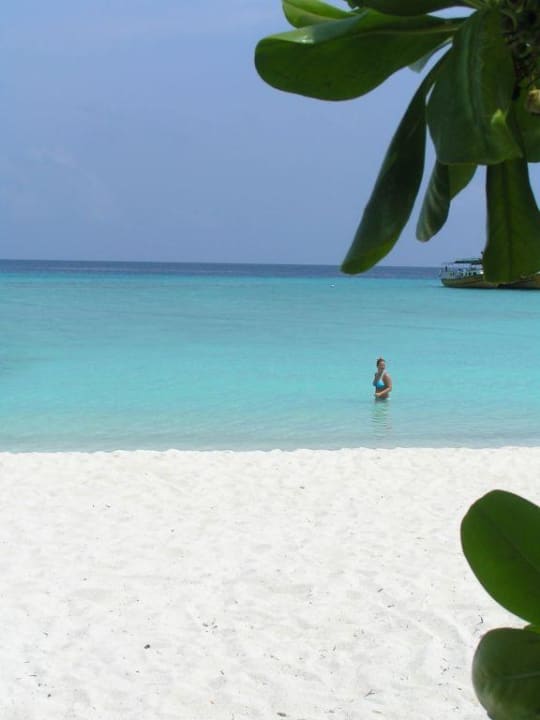 Das Paradies auf Erden hat einen Namen Summer Island Maldives