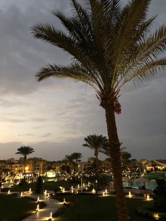Gartenanlage Pickalbatros Dana Beach Resort - Hurghada