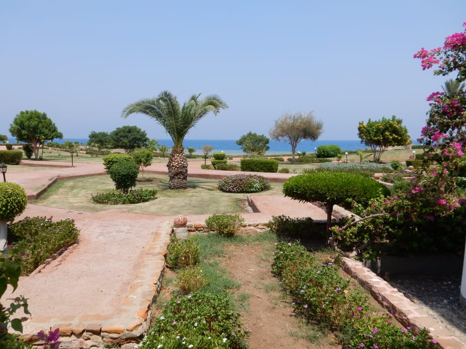 Gartenanlage Three Corners Equinox Beach Resort