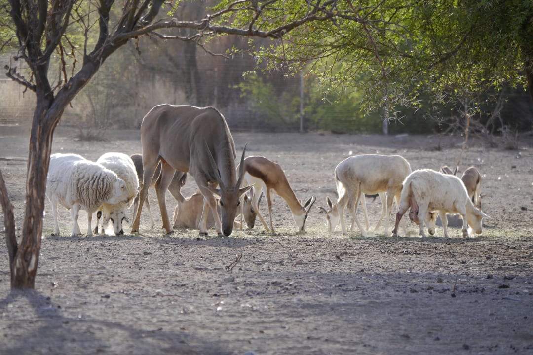 Gartenanlage Maritz Country Lodge