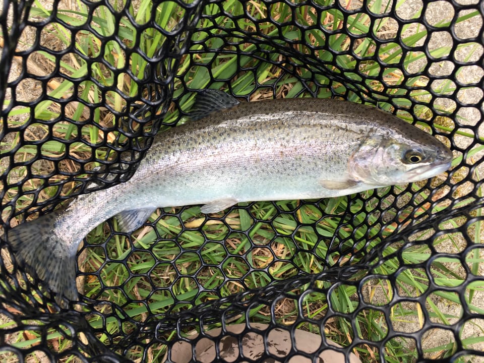 Sonstiges Alpenhof Lodge Passeiertal