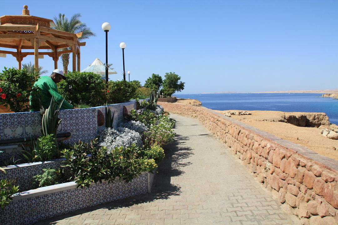 Weg hinter dem Pool Albatros Sharm Resort