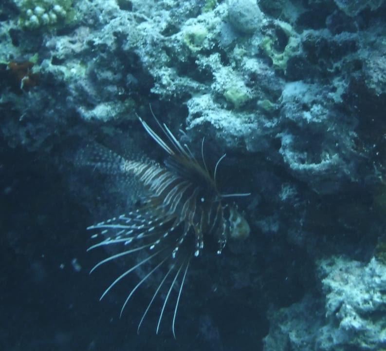 Sport & Freizeit Thulhagiri Island Resort