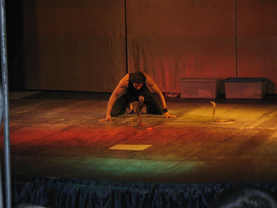 Анимация Pickalbatros Alf Leila Wa Leila Resort - Neverland Hurghada