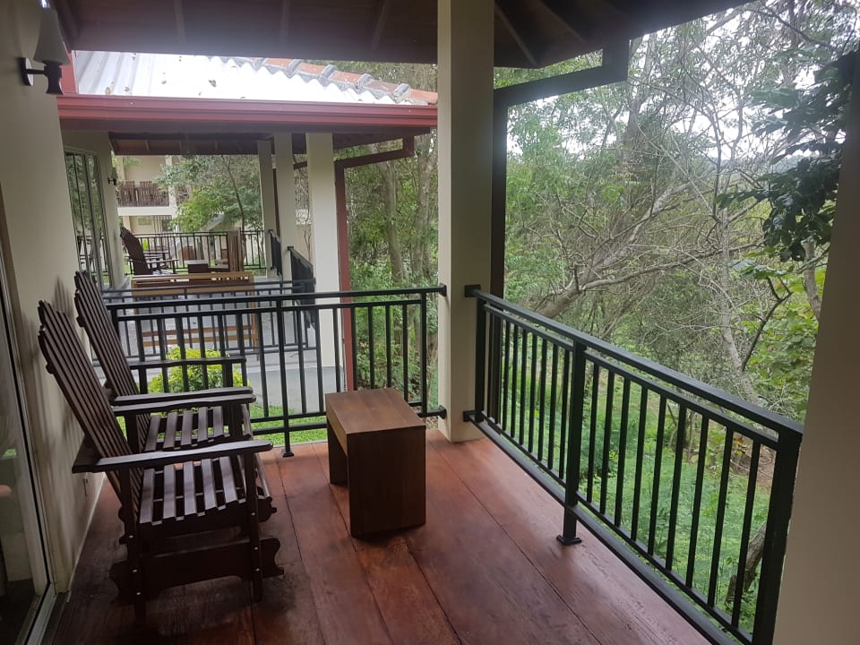 Zimmer Jungle Paradise