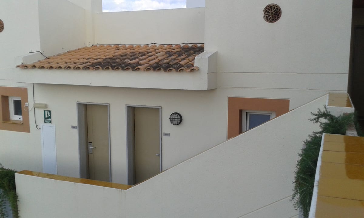 Sonstiges blau punta reina