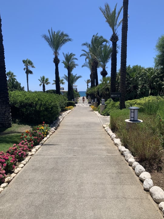 Gartenanlage AQI Pegasos World