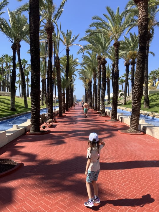 Gartenanlage Monachus Family Resort Sorgun