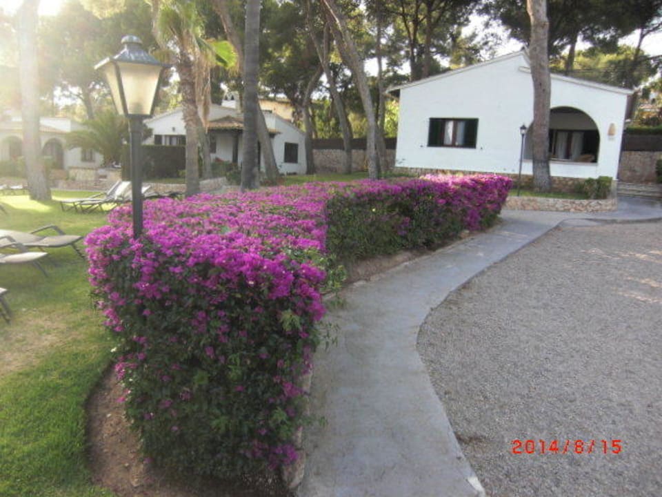 Weg zum Pool Hotel Bendinat