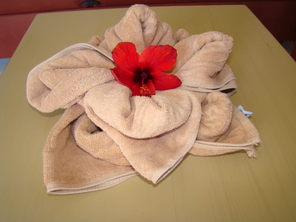 Jeden Tag etwas neues SBH Costa Calma Beach Resort