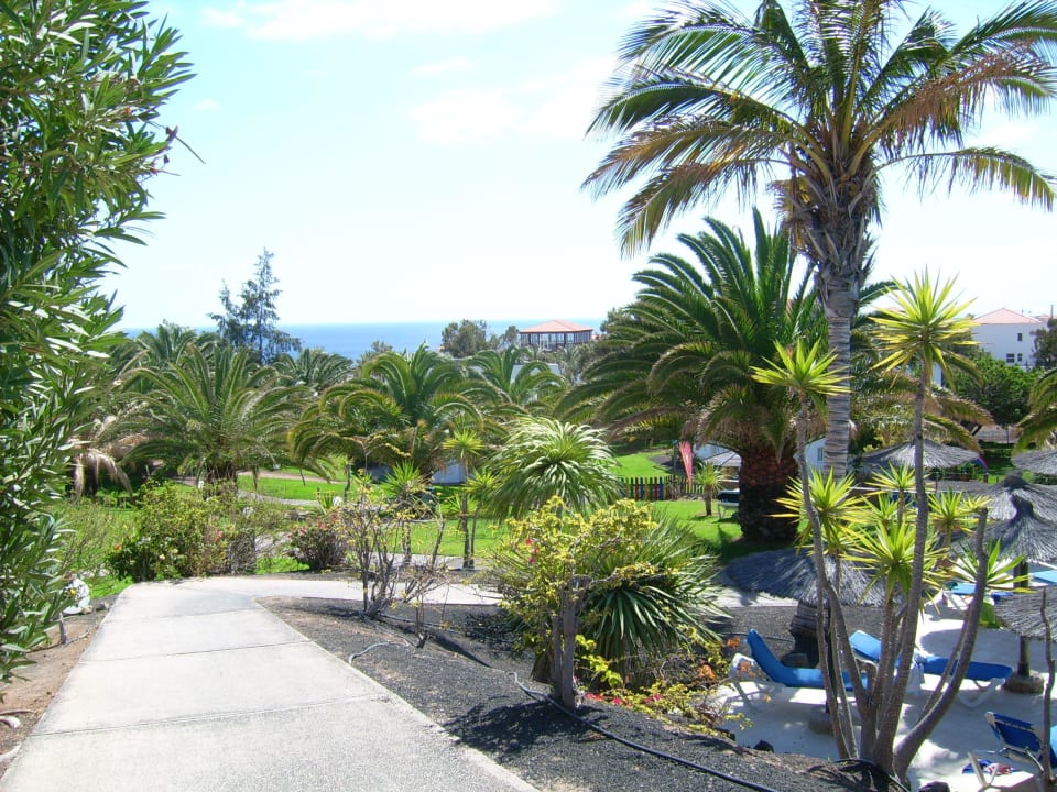 Garten allsun App.-Hotel Esquinzo Beach
