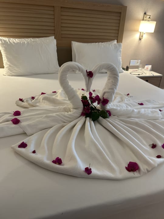 Zimmer Süral Saray Hotel