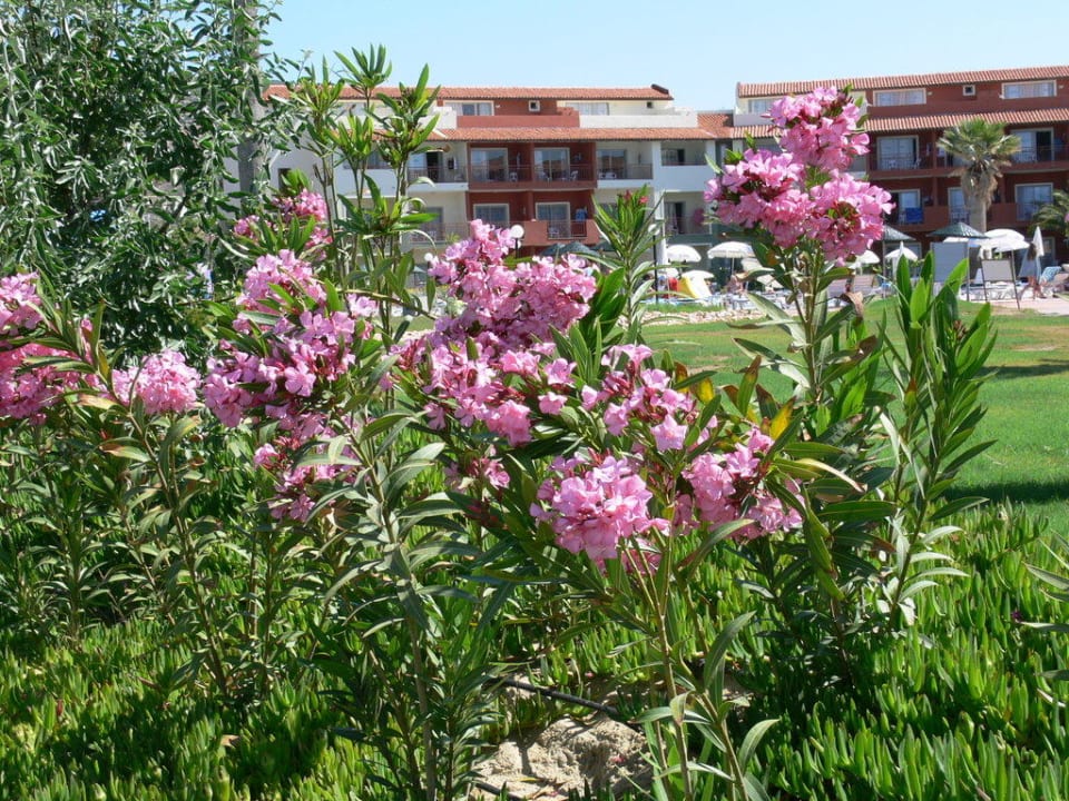Garten Ephesia Holiday Beach Club