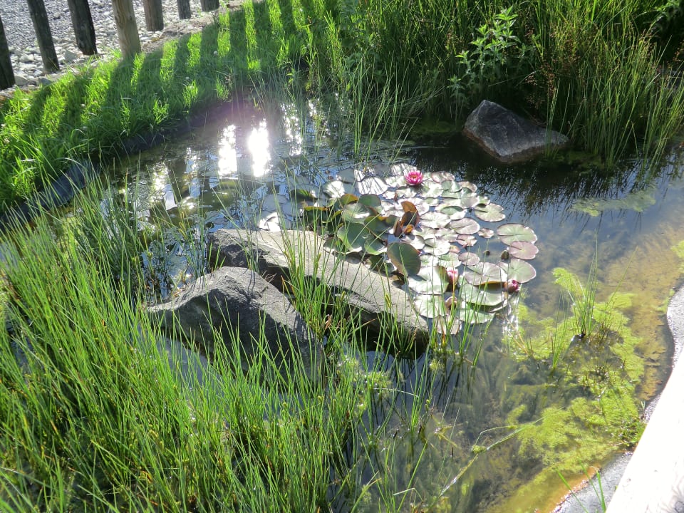 Gartenanlage Gasthof Schwabenhof