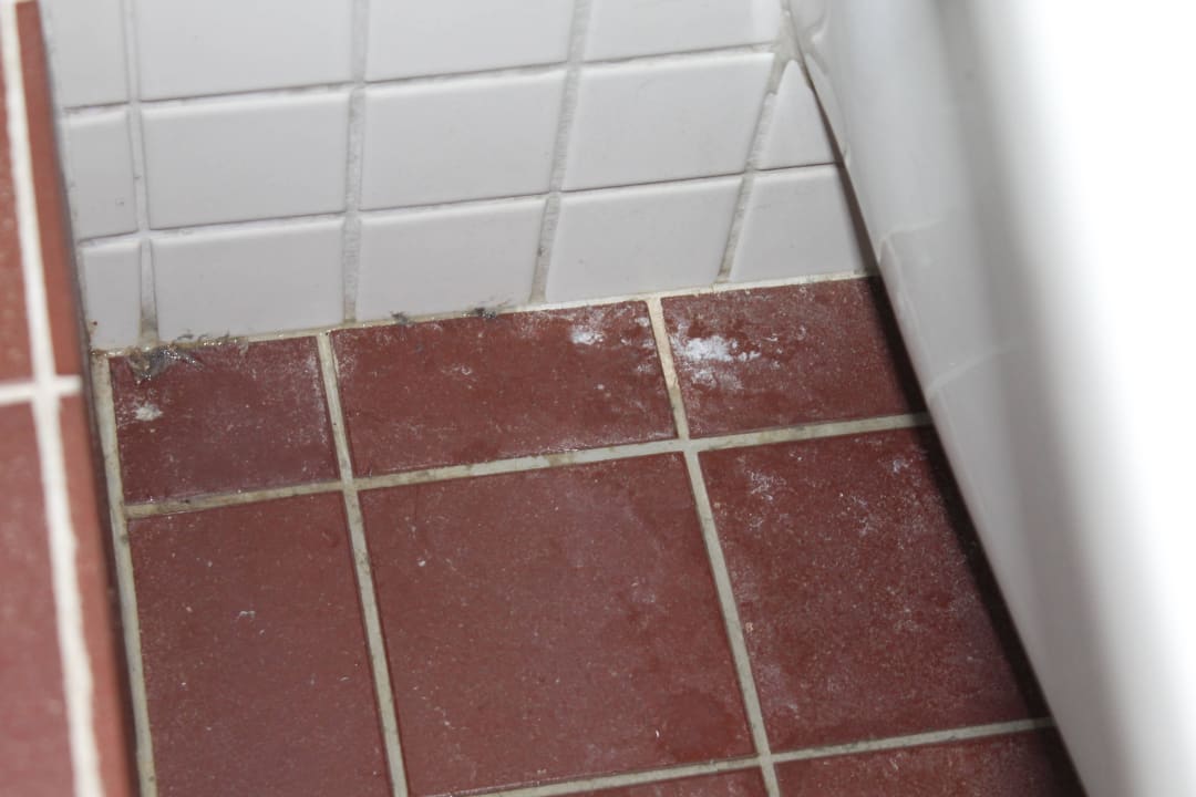 Boden hinter ec Hotel Ucliva