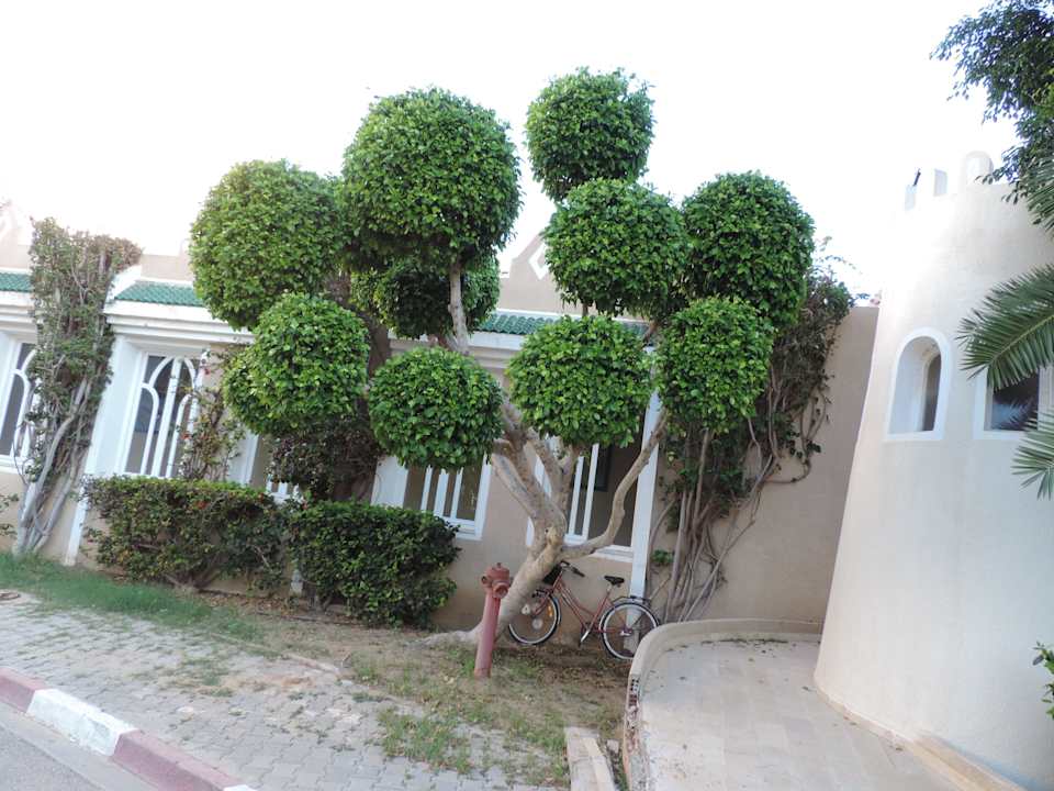 Hotel Mahdia Beach & Aquapark