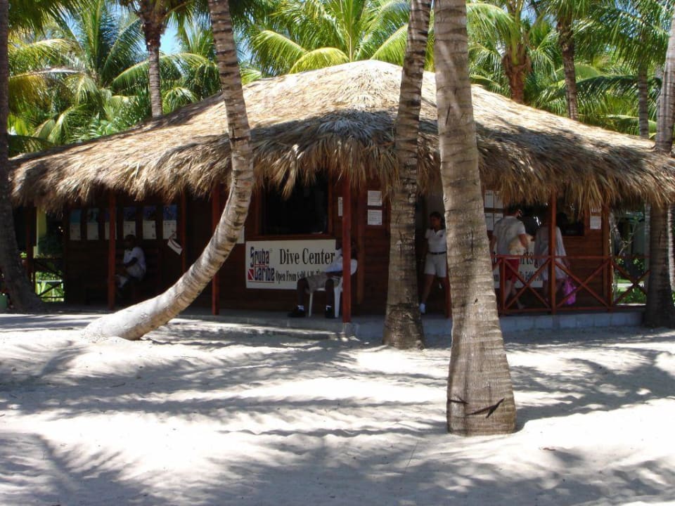 Maimon, RIU Mambo Playabachata Hotel