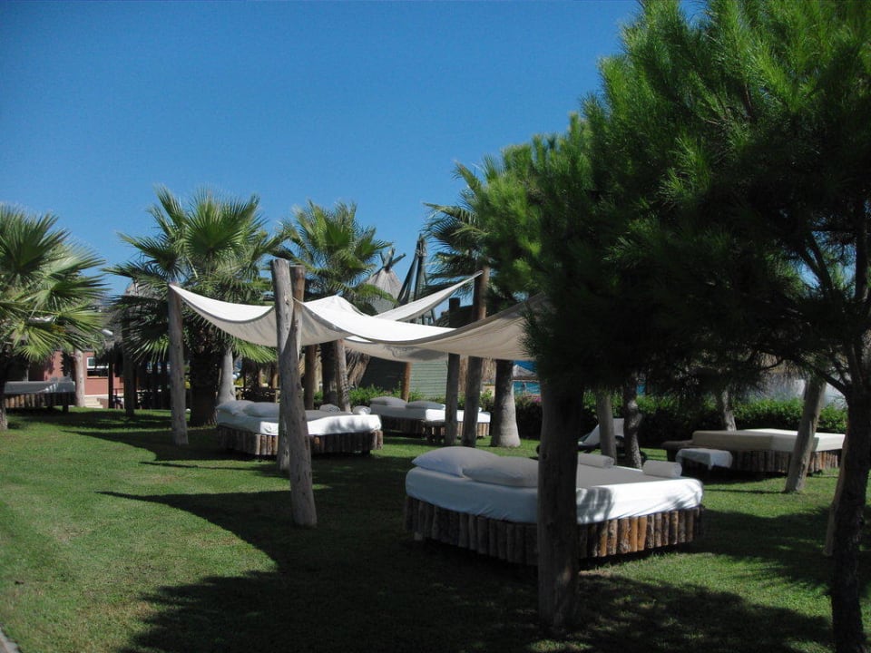 Luxusboxen Balmy Foresta