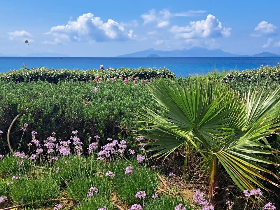 Gartenanlage Akti Palace Resort & Spa