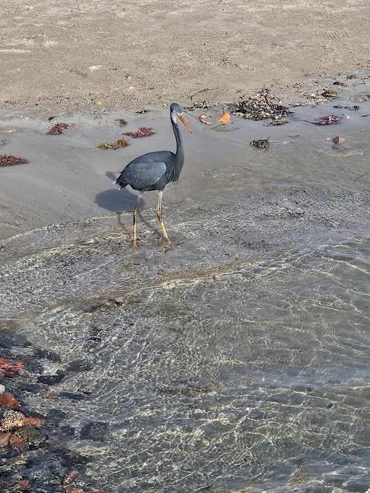 Strand Hurghada Long Beach Resort