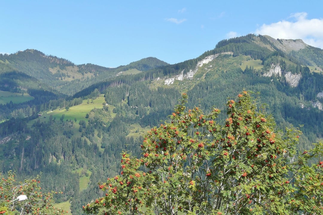 Blick von Zimmer  Berghotel Alpenklang